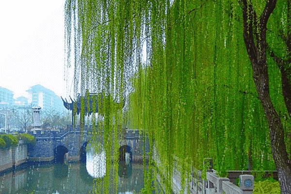 上联：春夏秋冬花艳艳
下联：东西南北柳依依