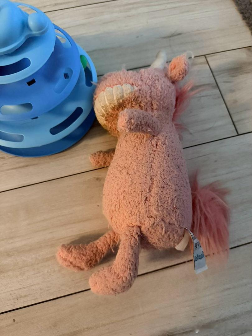 客服把爱猫的阿贝贝寄给客户养小猫的都应该总会给小猫买各种的玩具，不是被种草就是跟