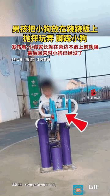 苏州一处游乐场内，一名幼童将幼犬放上跷跷板反复抛摔，还用脚踩踏，小狗无力挣扎、浑