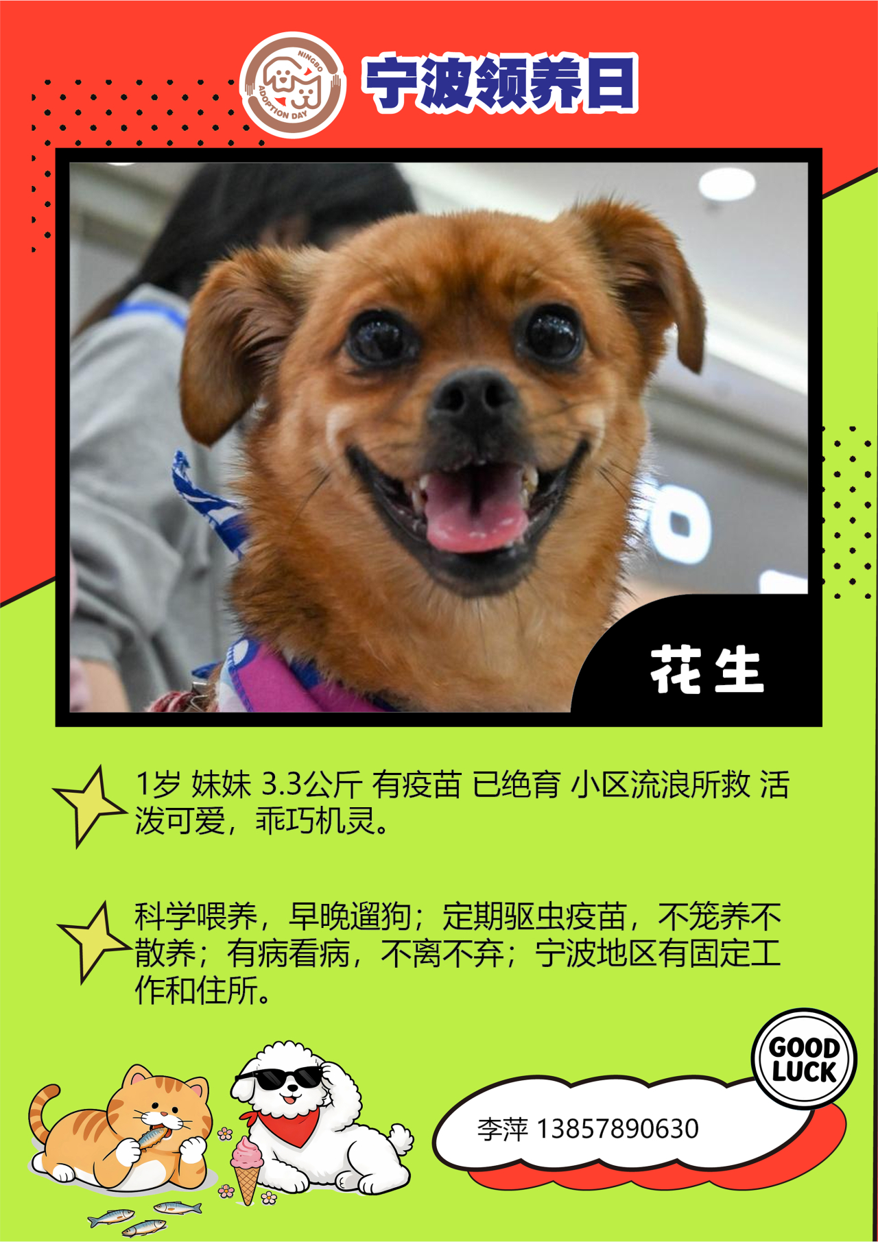 第111届宁波领养日来啦 🌸💞4月26日下午13:00-17:00宁波领养日