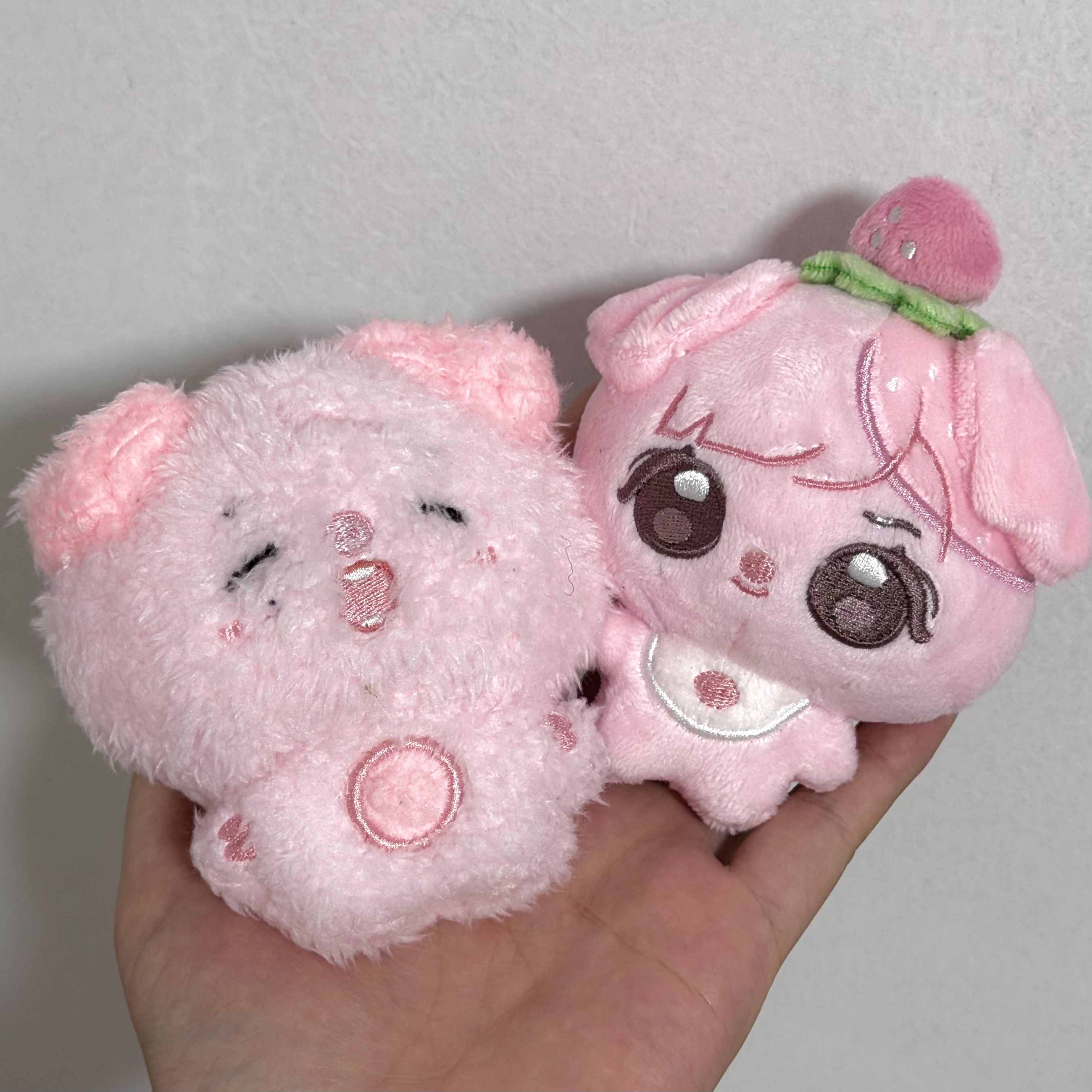 这里是吉吉小🐽和霁霁小🐽🍓 