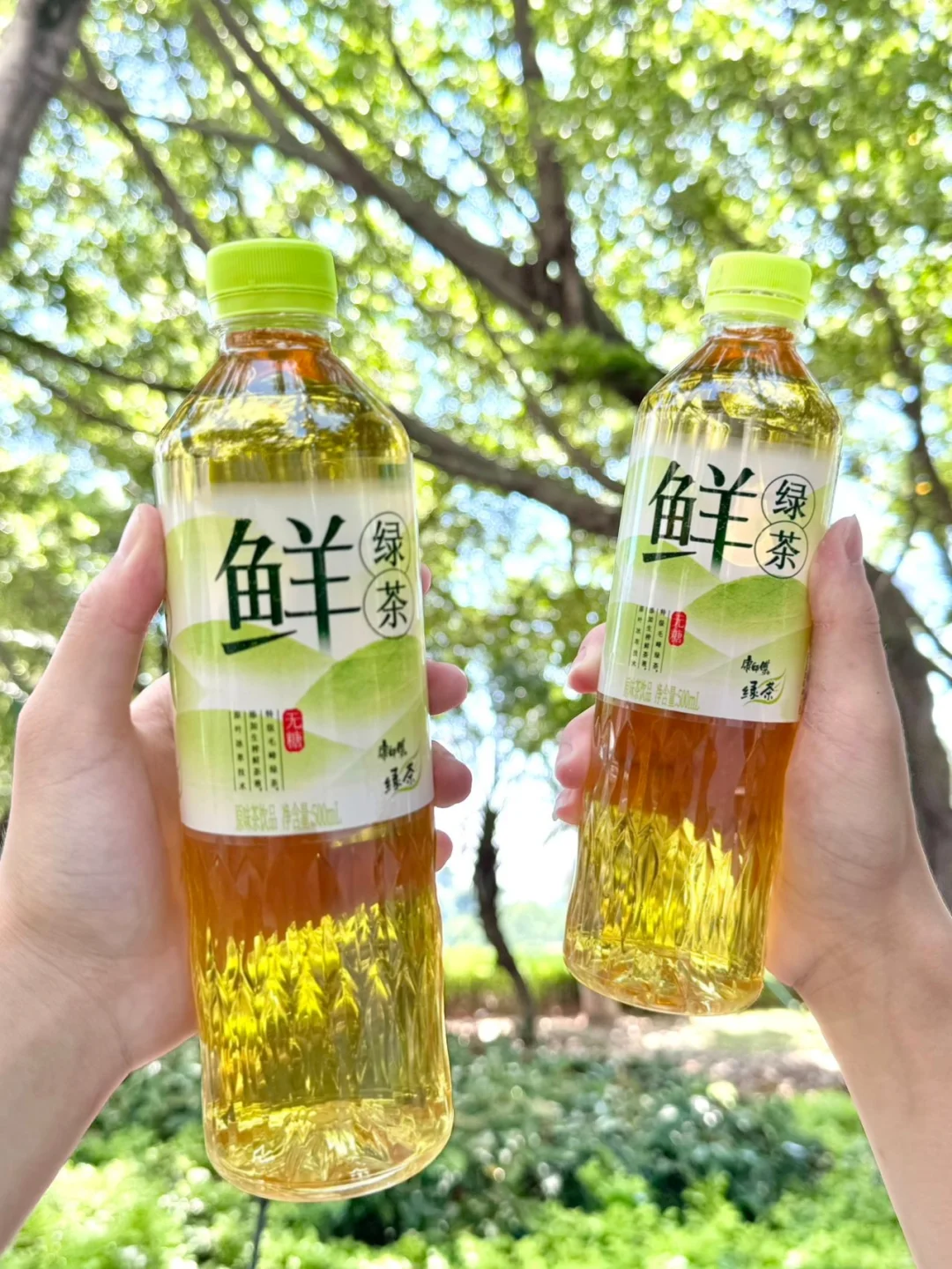 无糖鲜绿茶也能这么好喝！