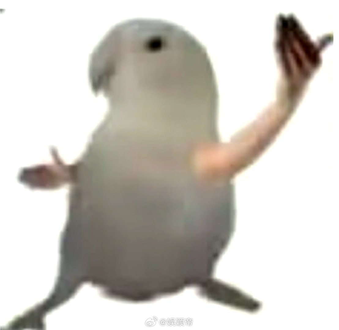 北京女生收到隔空拥抱瞬间破防 妇女节这天，北京的独居女生在小院享受宁静时光。当她