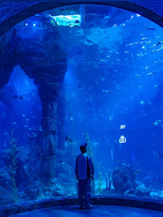 不出海也能看到！我在舟山找到了那一抹蓝色