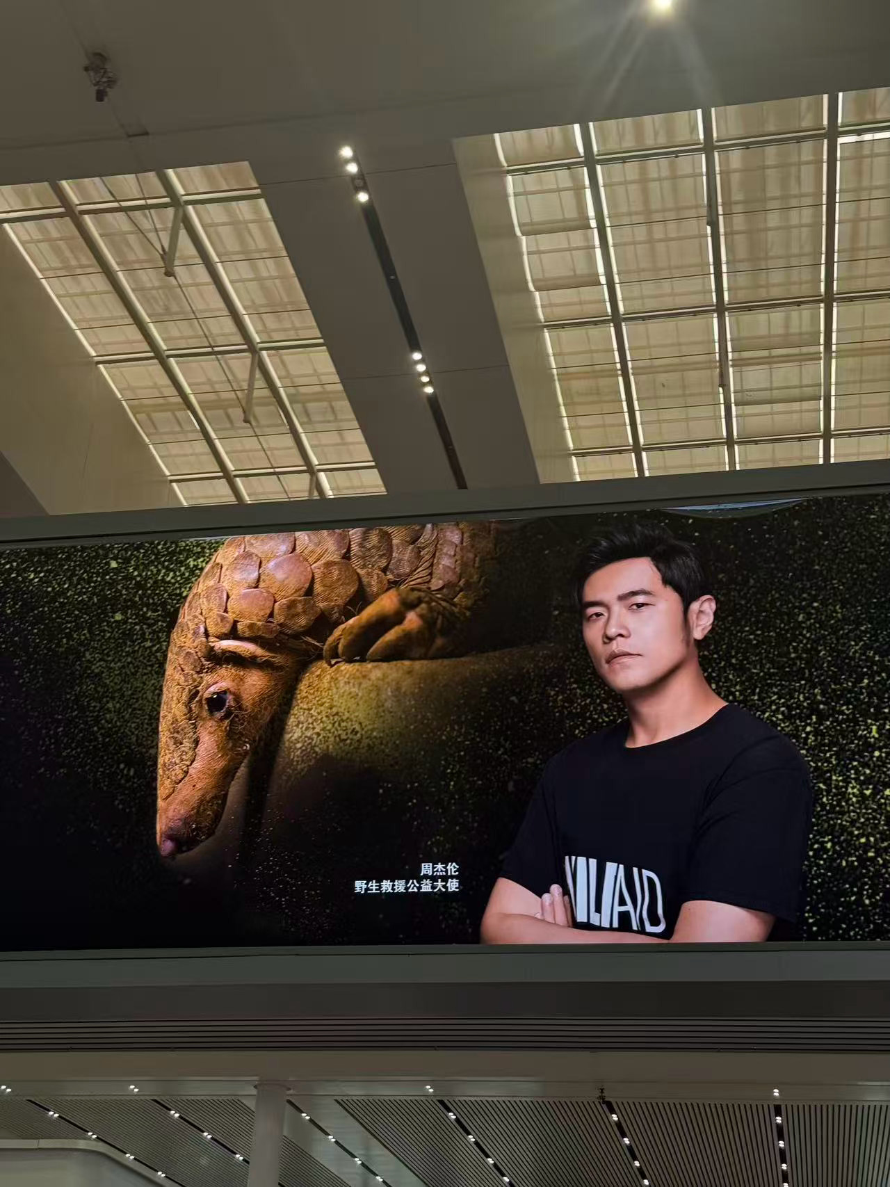 虽然周杰伦手握二十多个商业代言，但还有公益代言