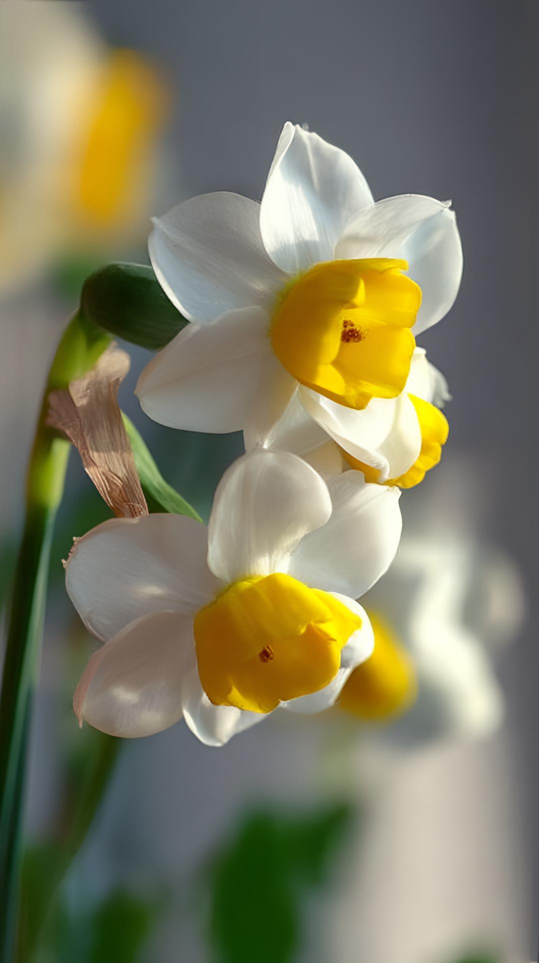 🌵 岁月款款而来，我们从容以待。
🌵 万物自有节奏，小闲既欢，小清既静。
?