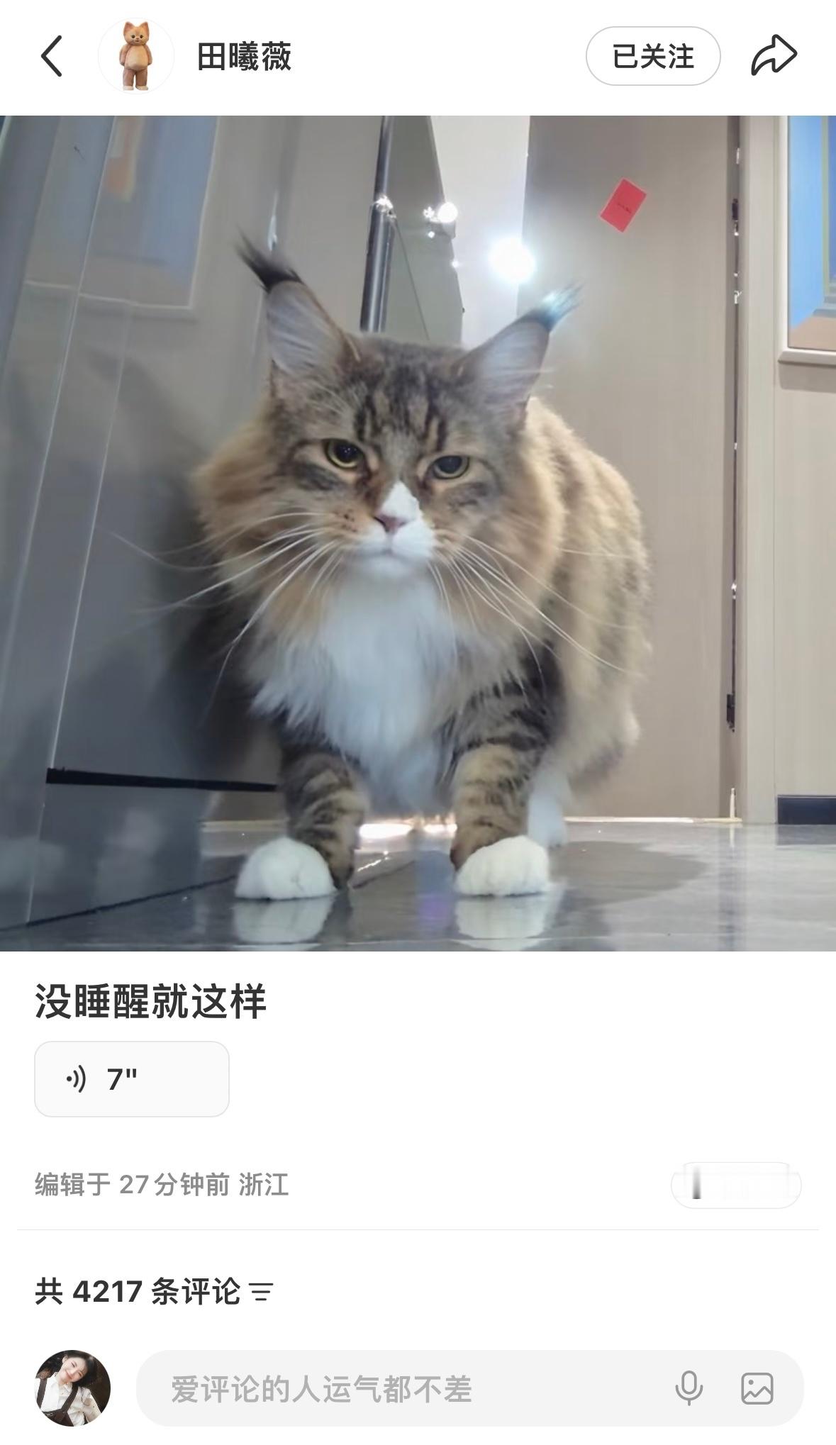 “听说新功能可以发语音哼哼 我来试试”我宣布田曦薇就是全世界最最最最最最可爱的臭