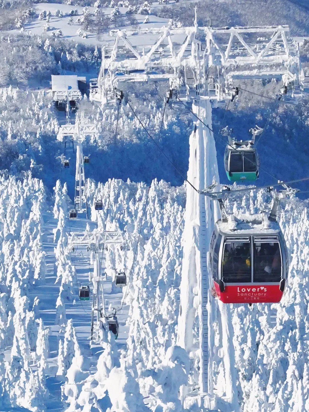 日本旅行🚠滑雪天堂 坐缆车欣赏冰树绝景！