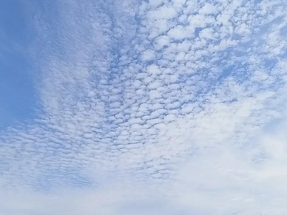 你喜欢今天的天气吗