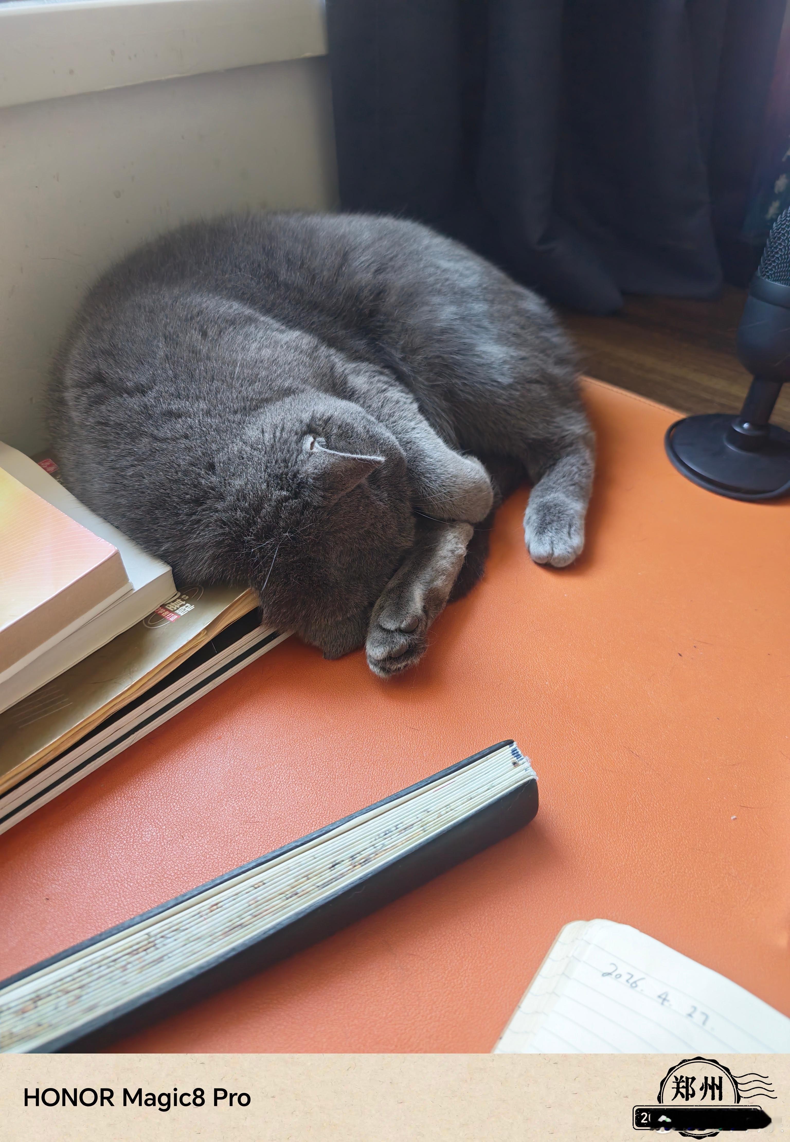 此刻万籁俱静，要不聊聊交易吧？ 