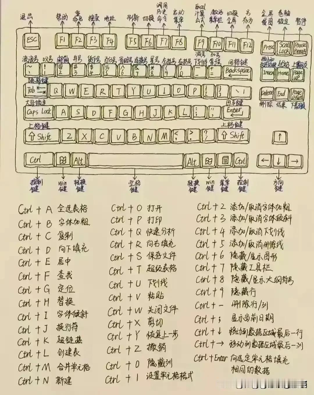 热心网友手绘电脑键盘每个按键单独和组合功能。太厉害了！学习收藏！ ​​​