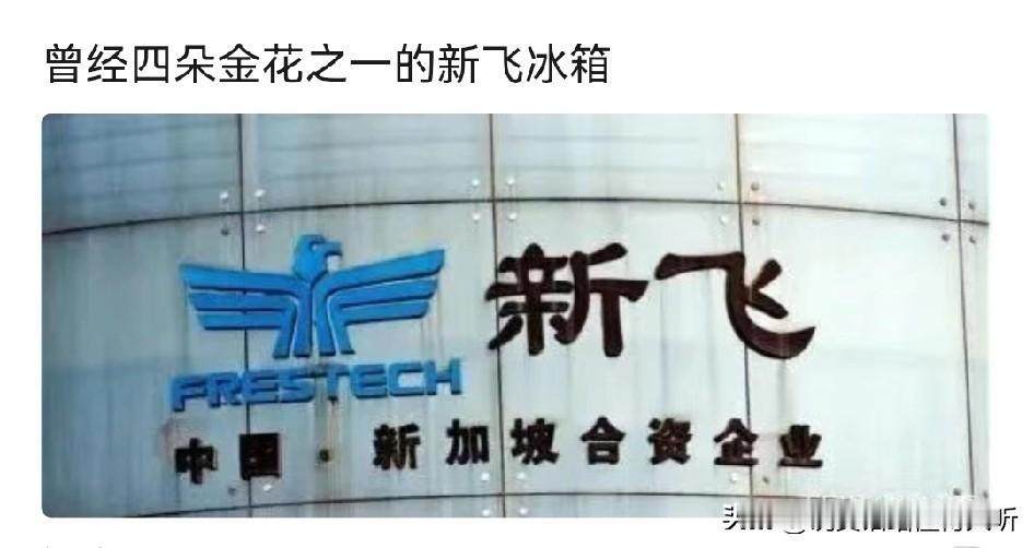 新飞广告做的好，不如新飞冰箱好