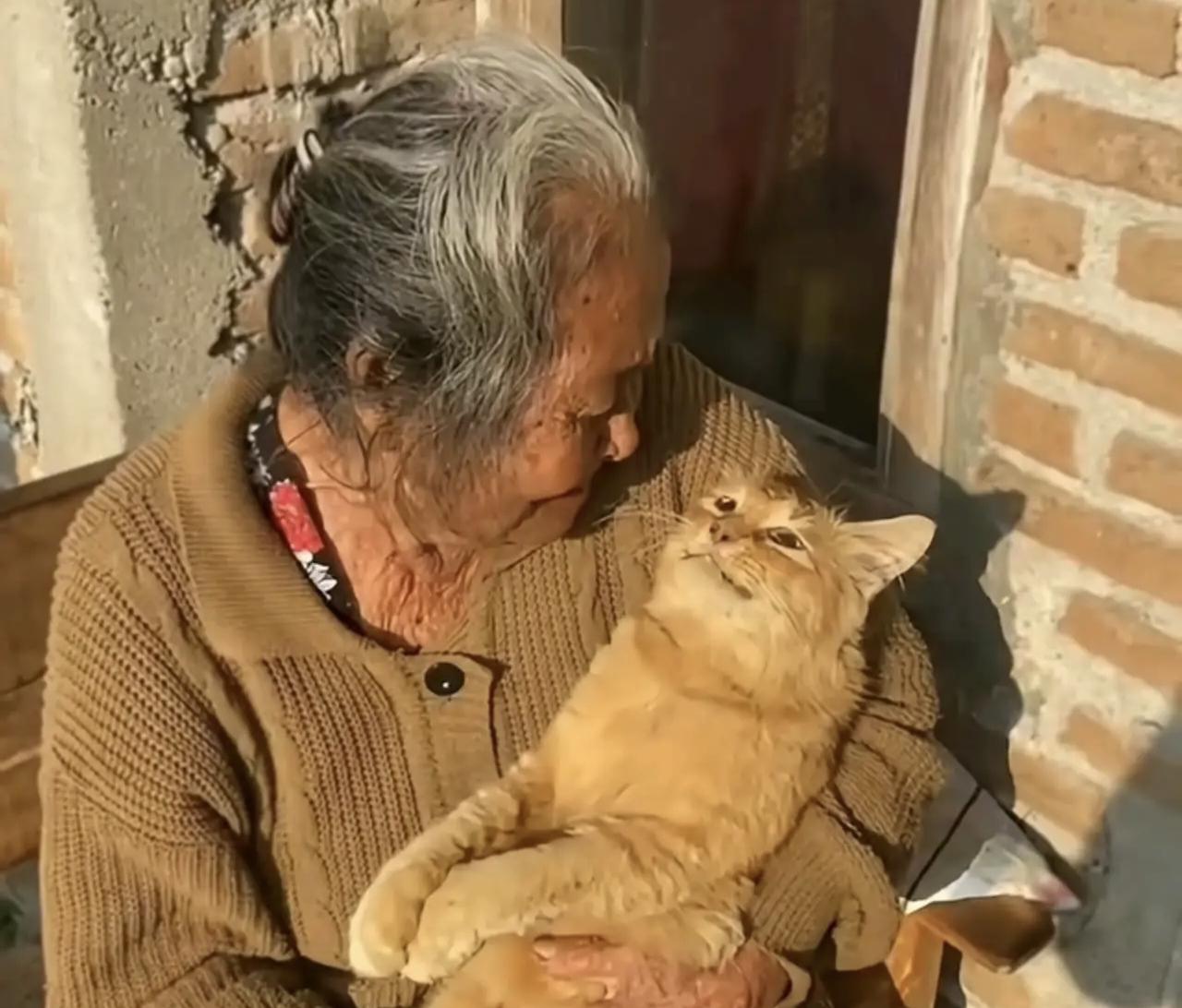 破防了，90岁老人抱着陪伴25五年的猫，万般不舍都藏在拥抱里
九十岁的老人，把一