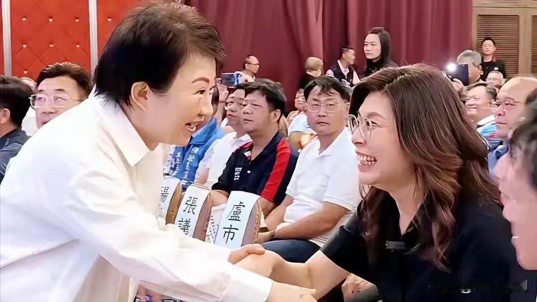 豁出性命出钱出力，费力不讨好！众大佬还不待见她，原因何在？
当初朱立伦当家那会儿