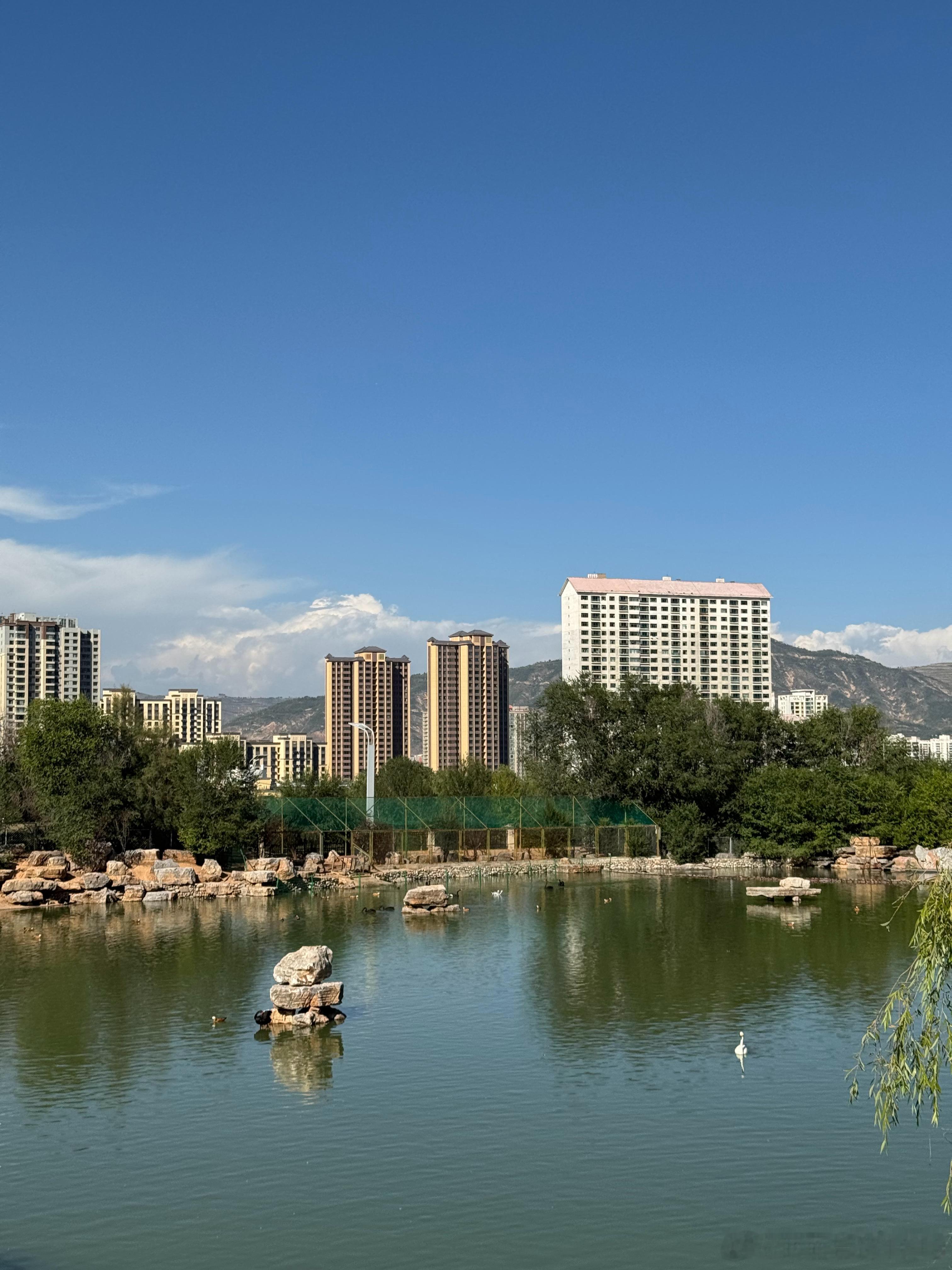 西宁又晒又热又凉快～[允悲]  ​​​