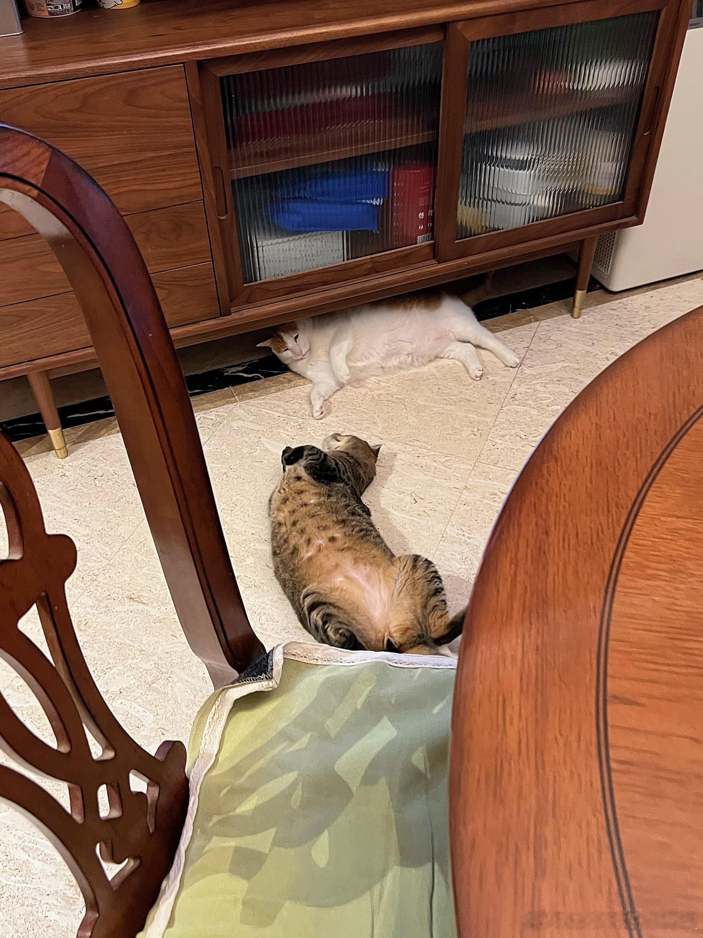 呦！这是谈上了？ ​​​