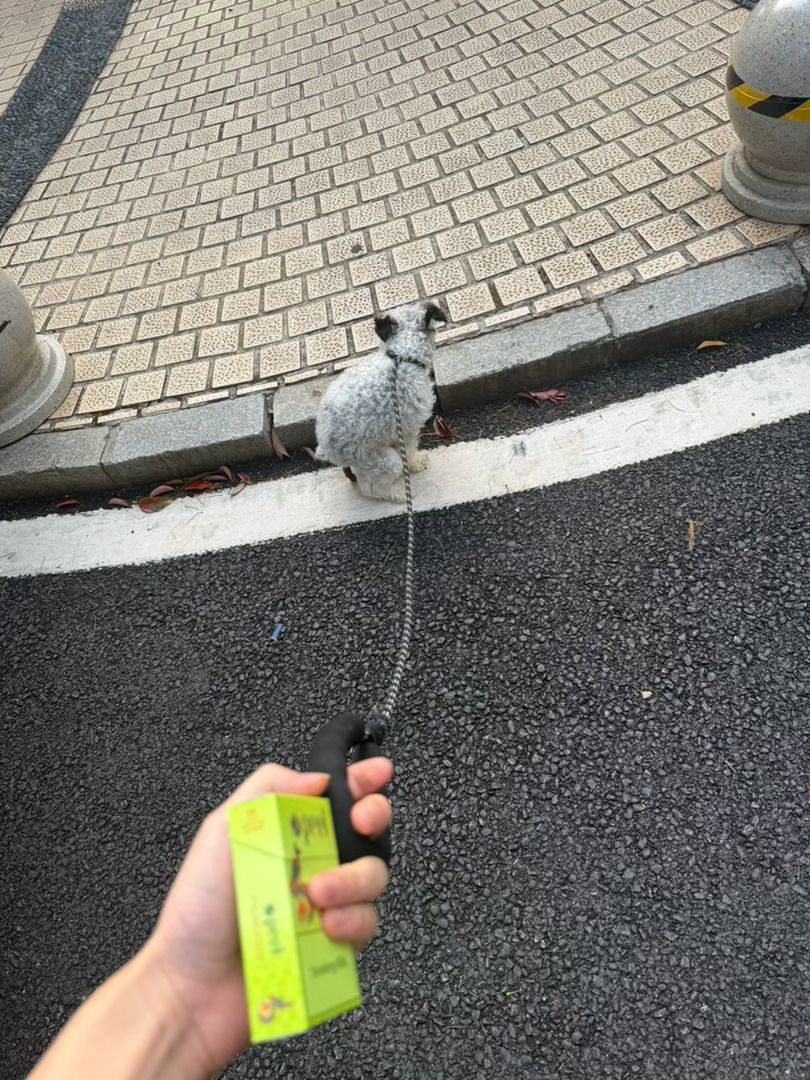 嗯嗯 