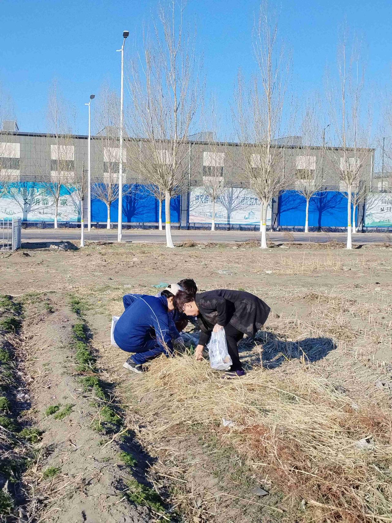 我的今日状态：😁轻松愉快
我这里的天气：☀️晴天
   这里是大庆市龙凤区金水