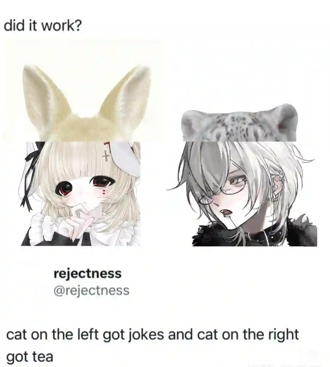 豹豹兔兔
@ᅟᅠ
梗图