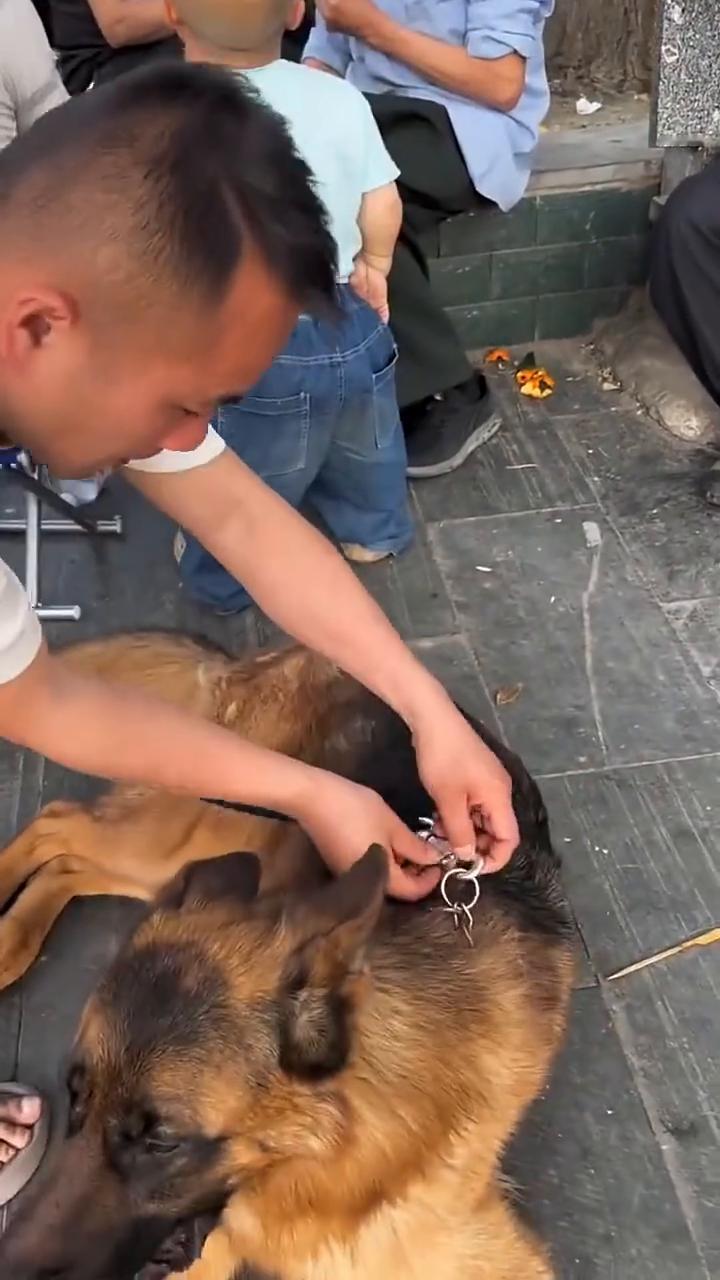 一会，你别笑。