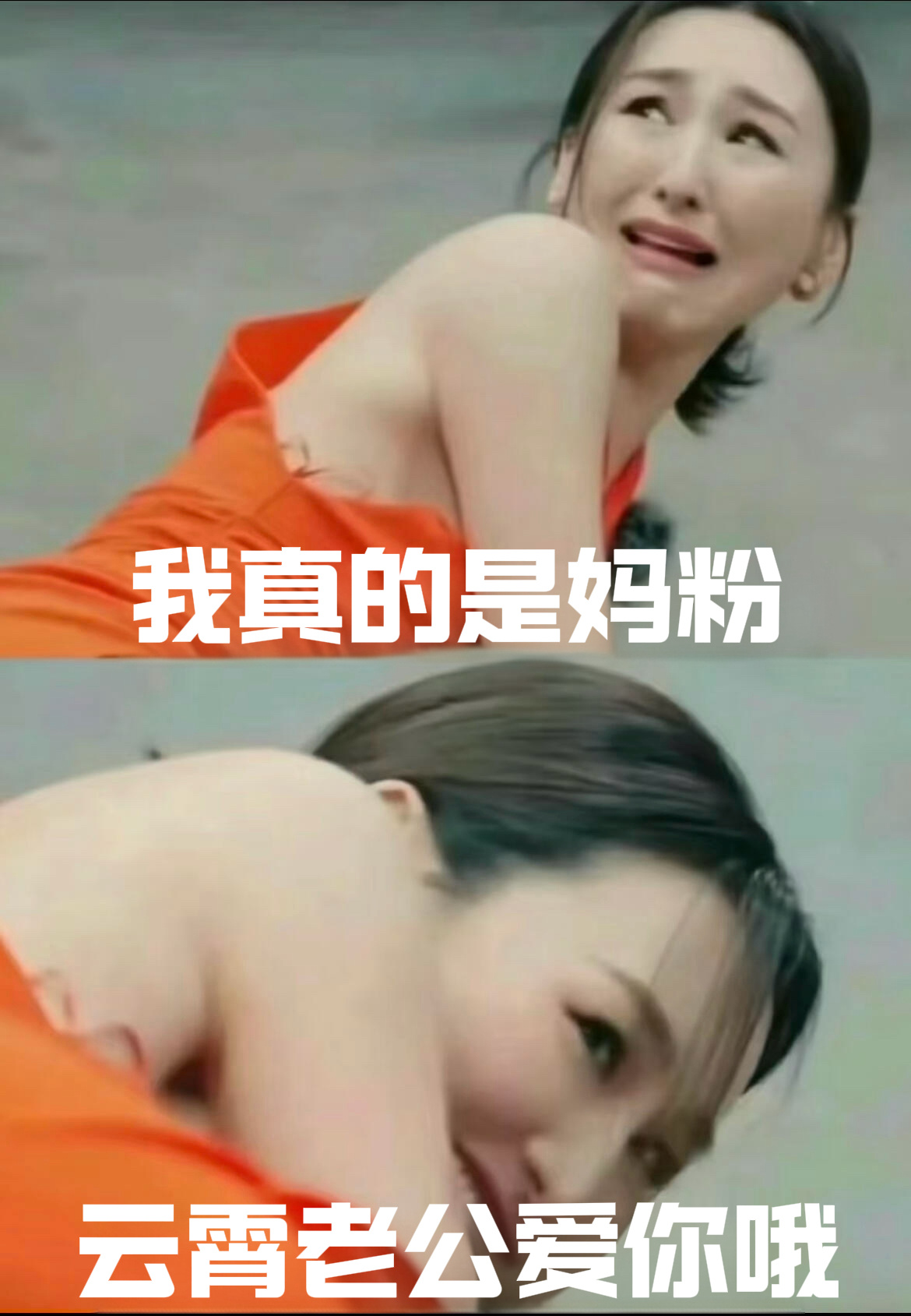我每天发这么梦女向，妈粉会不会已经变质了但是还在嘴硬