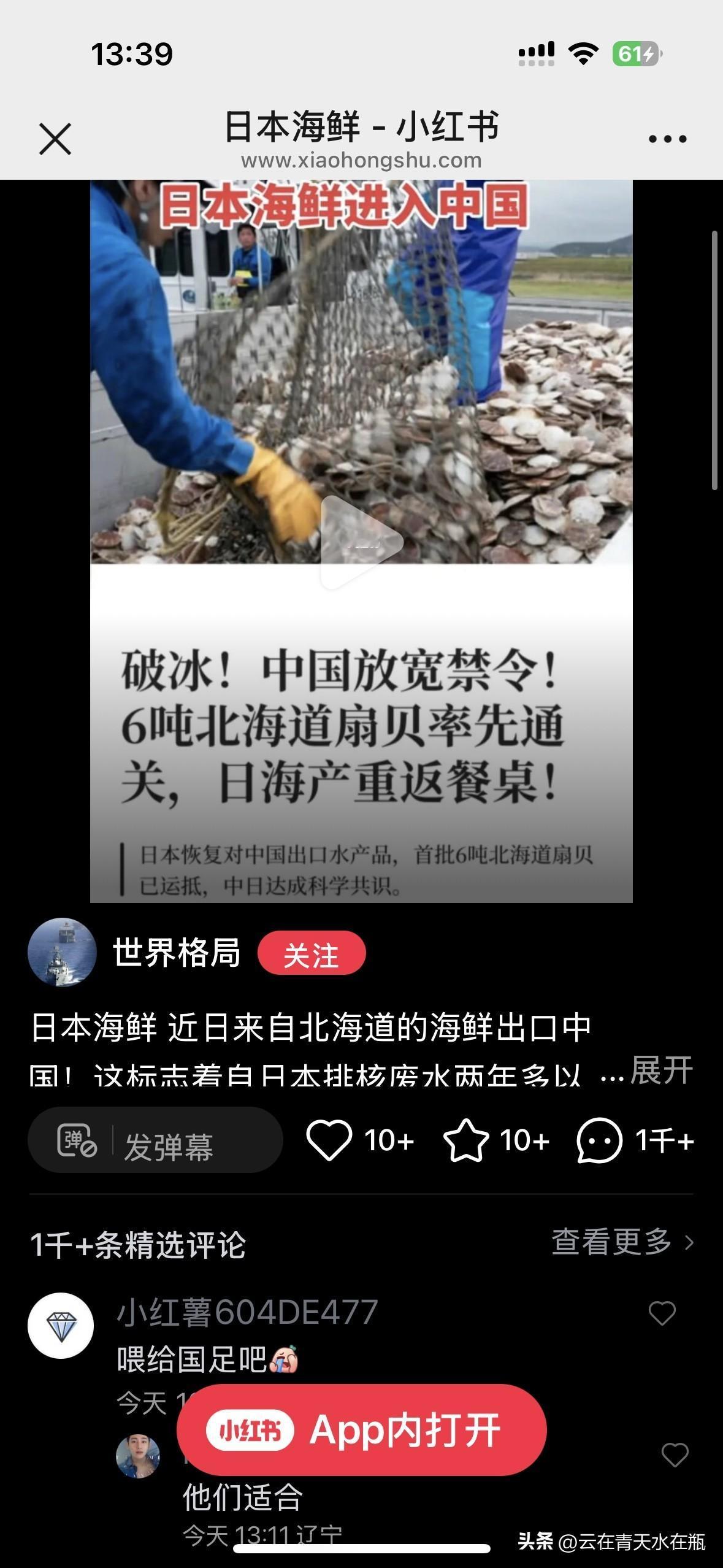 日本海鲜要重返我们的餐桌了！日本6吨北海道扇贝率先通关，进入我国市场。

你会选