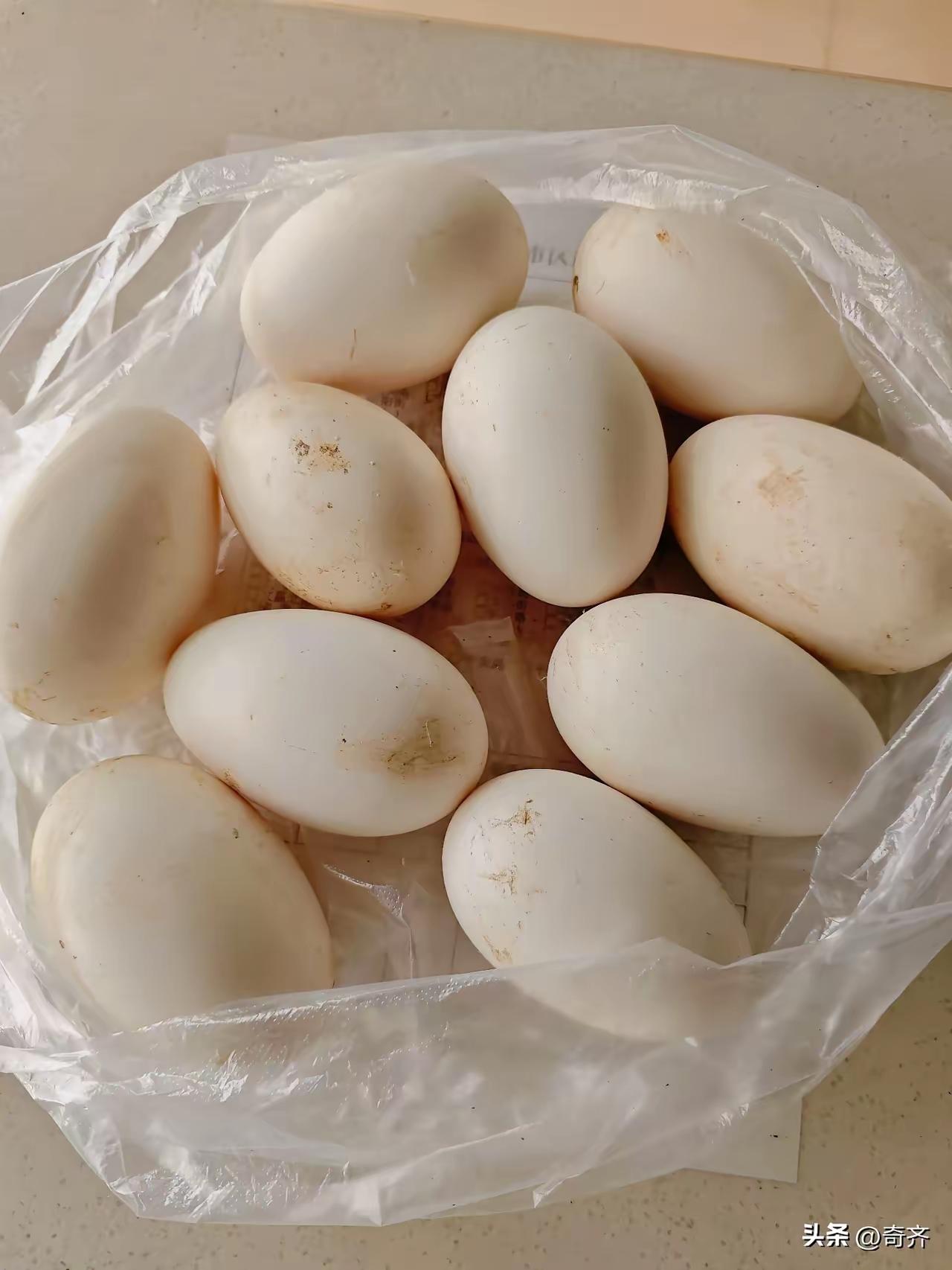 有没有像我这样吃鹅蛋两三年的？吃了几年后，才发现它的好，从浑身无力到充满力量。