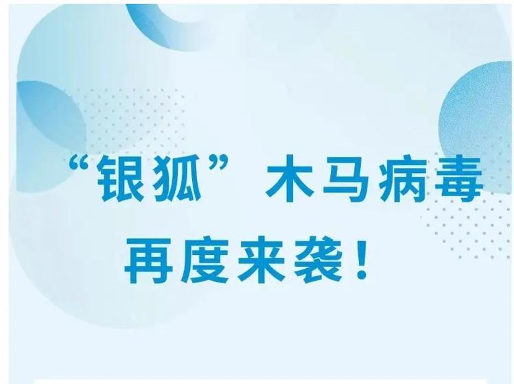 专盯财务人员！5起“银狐”木马案告破，涉案超千万，警方手把手教你避坑
最近多地网