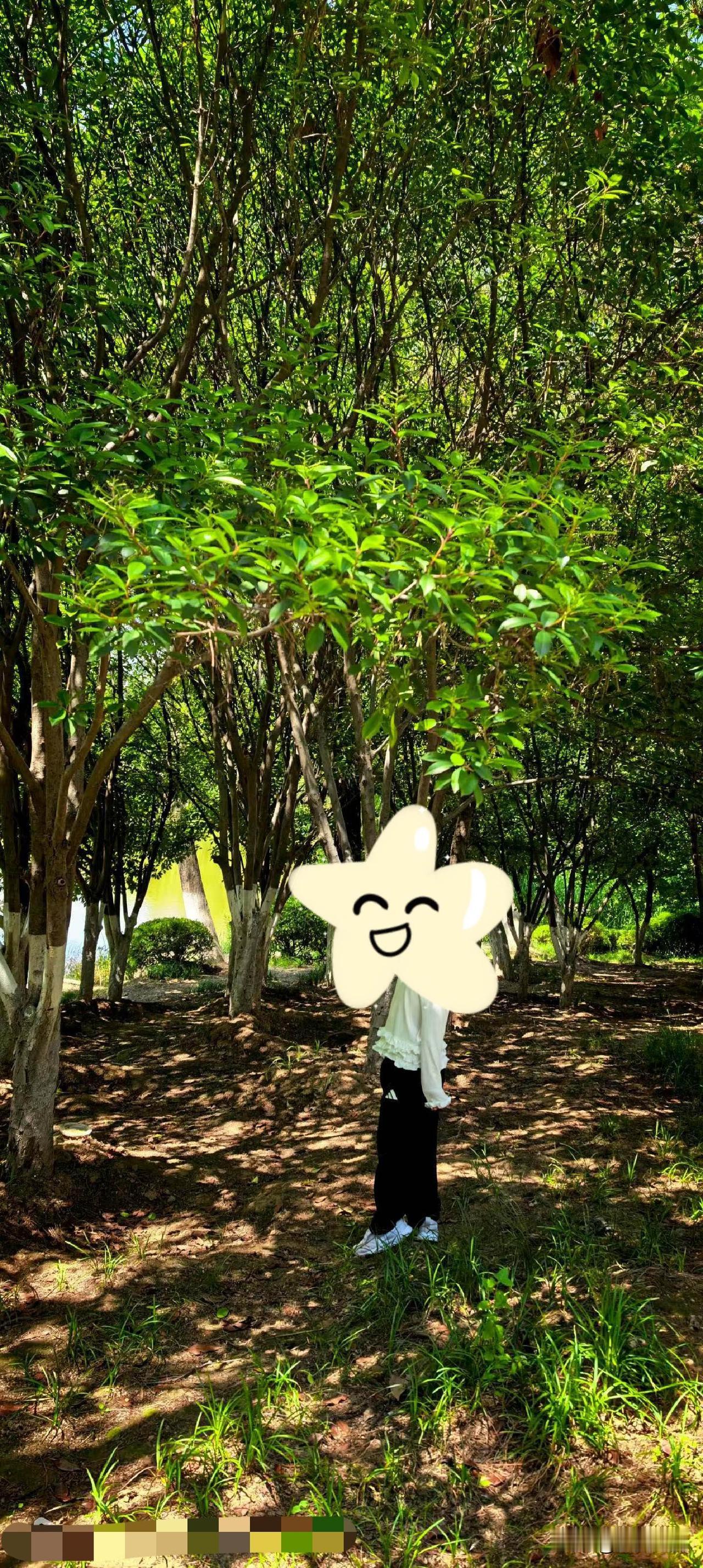 【小对联】
上：访客；
下：……？