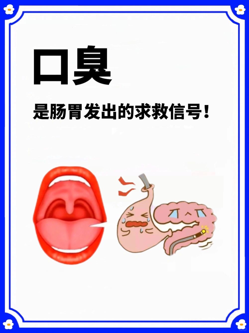 肠胃口臭，浊气上逆㊙️如何调理
