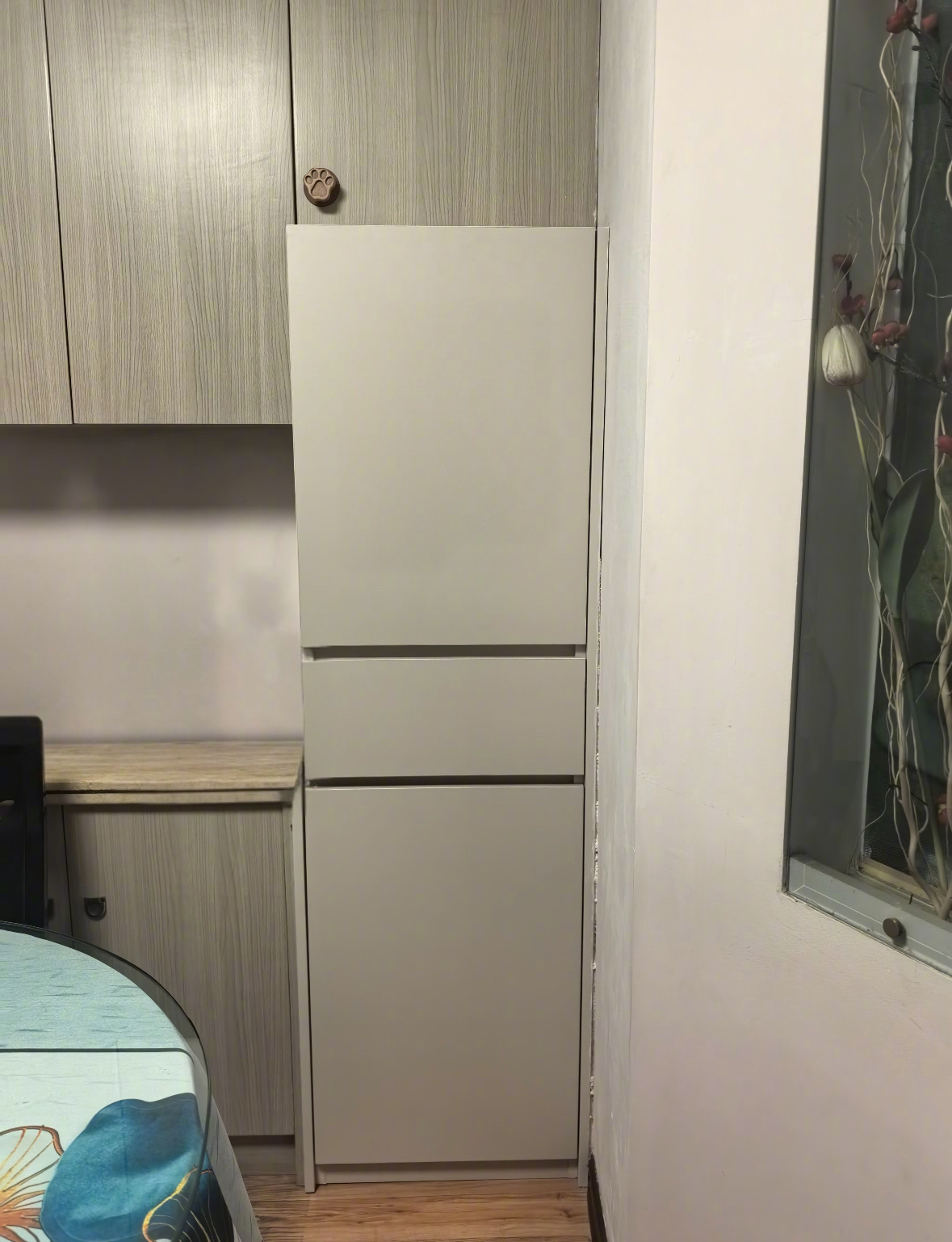 论一个柜子能多像冰箱 