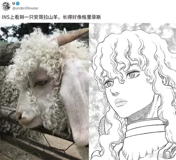 🐏一些二刺猿懂的东西