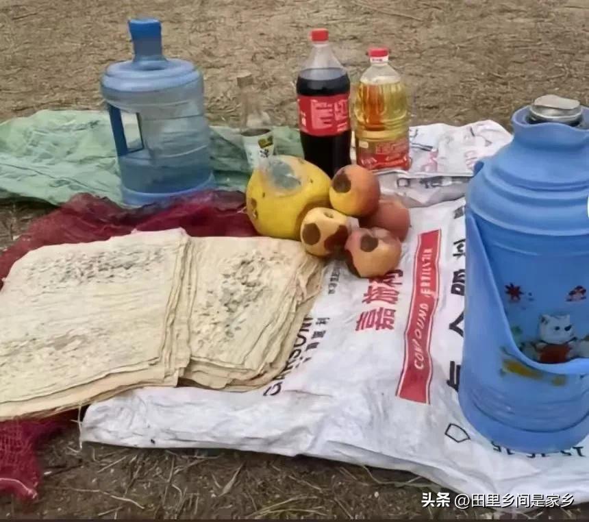 分享一张治愈系风景吧大家一起来春游