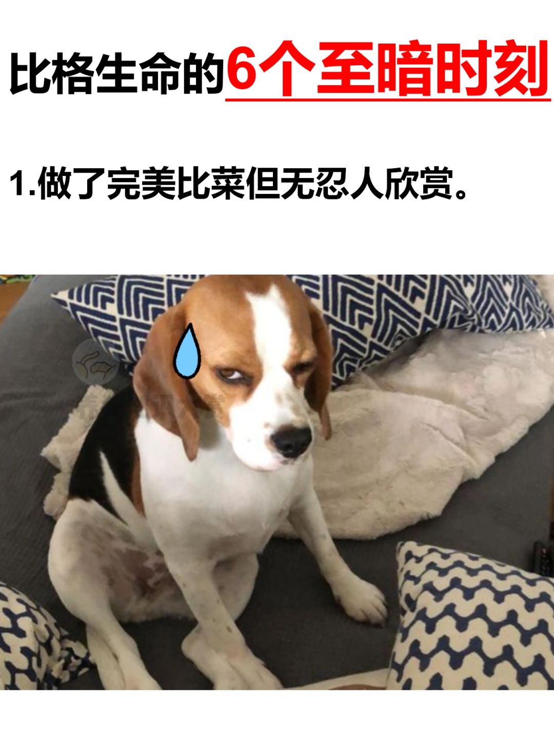 比格生命的6⃣️个至暗时刻⚫️⚫️