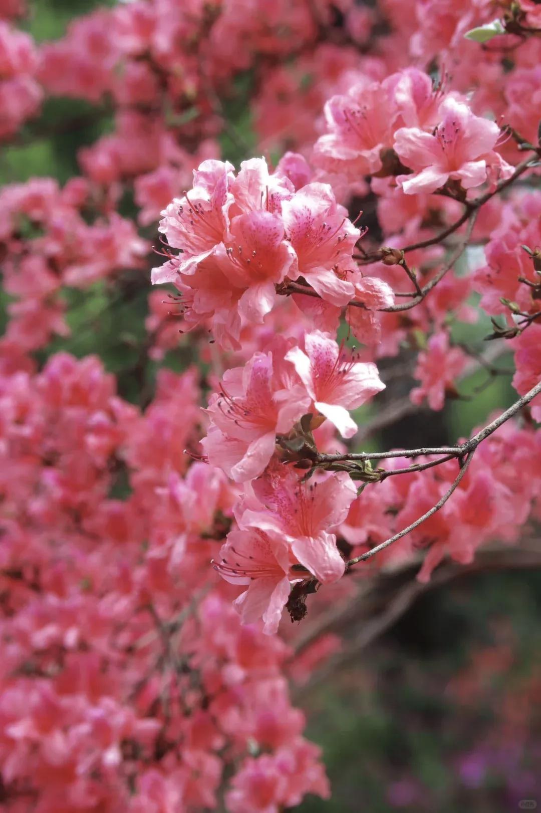 【昨天的太阳晒不干今天的衣裳，过去的遗憾绊不住今天的脚步；未来的惊喜与挑战，始于