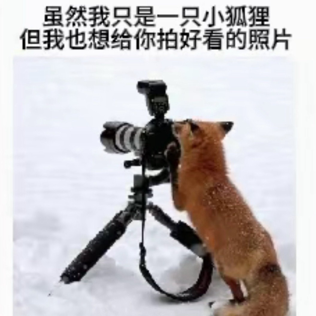 左奇函 