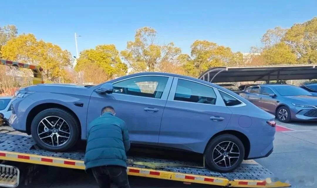 2026款秦L DM-i与秦PLUS DM-i长续航版马上就要正式上市了（1月8