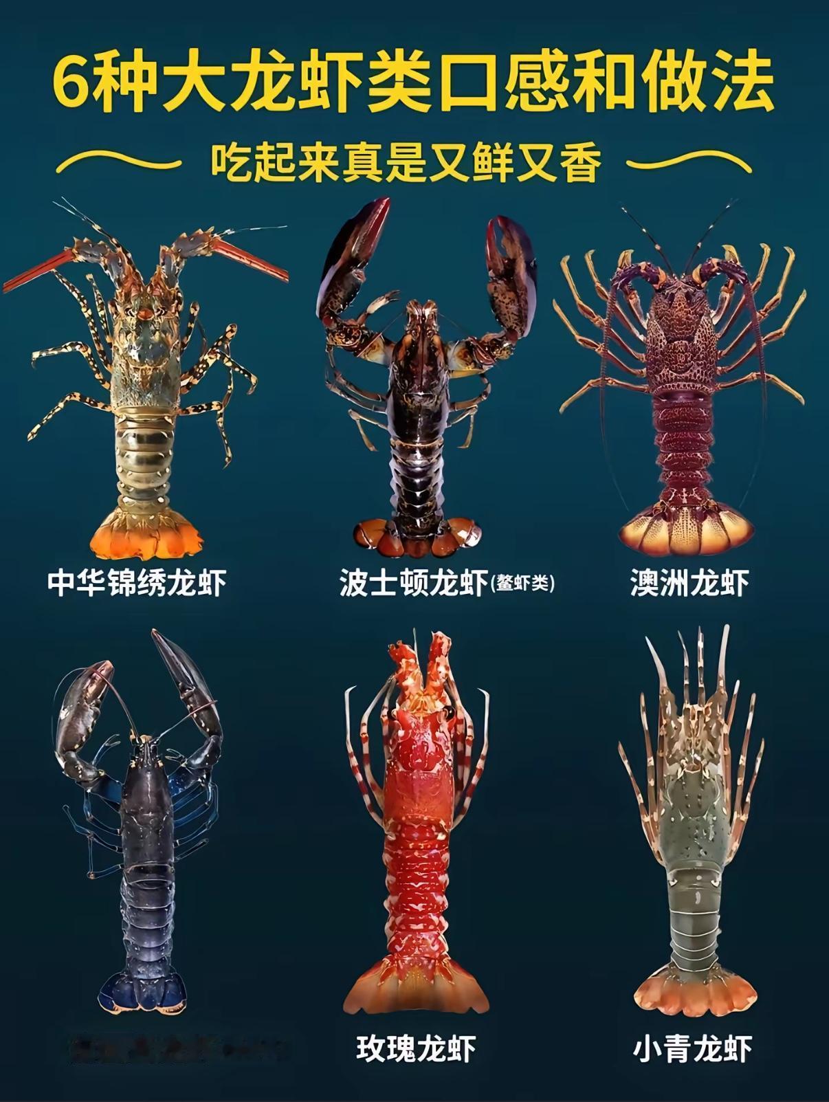 英国🇬🇧要开始禁止🚫沸水煮活龙虾了🦞，原因是龙虾也会疼。

英国政府发布