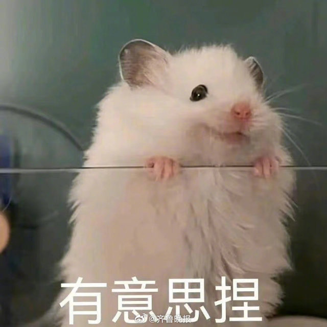 #早安# 不是生活有意思，是你热爱生活，它才有意思。 