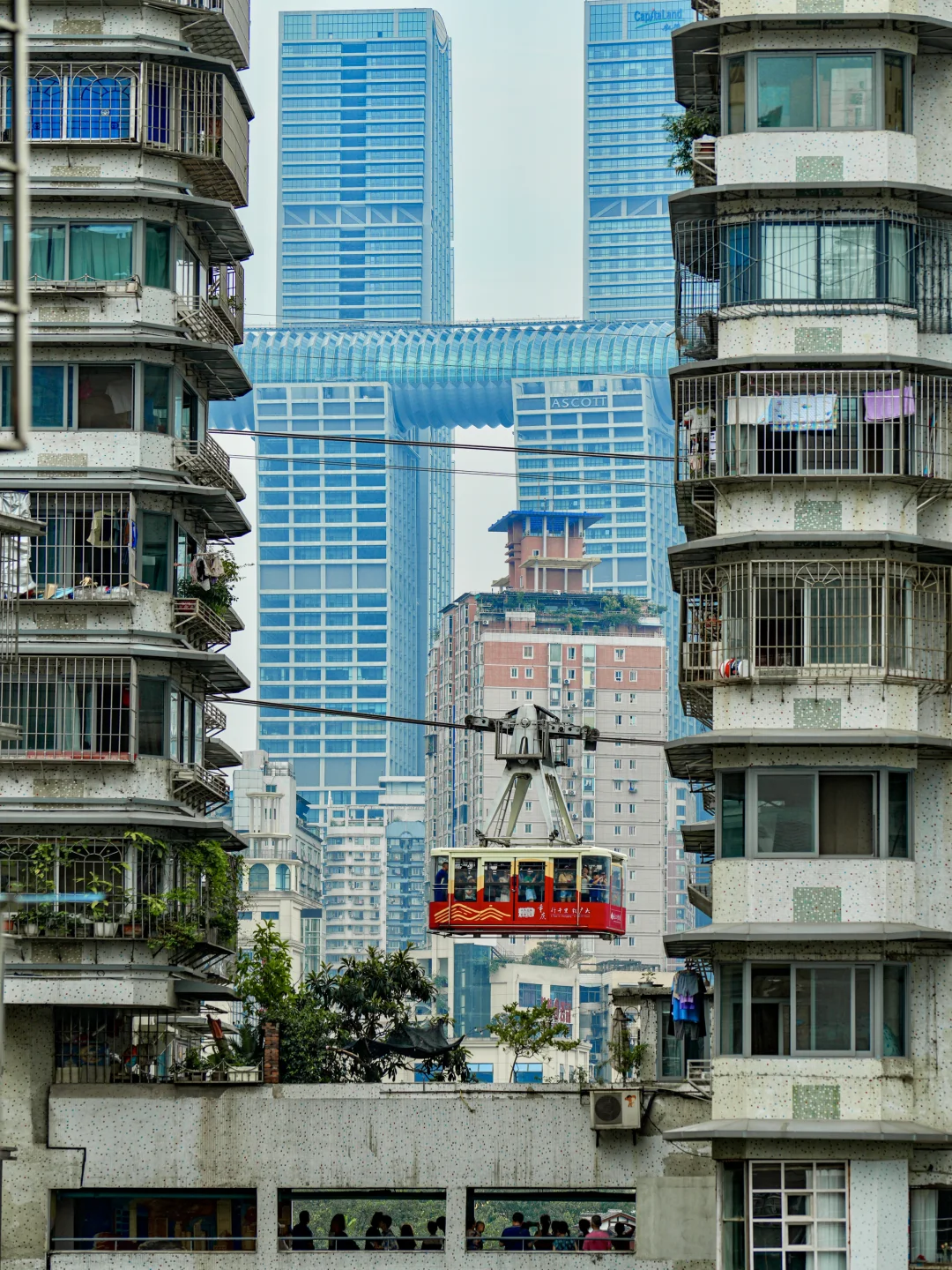 我很少用魔幻来形容一个地方……直到我到重庆