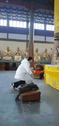 狗子：我为我的主人许愿！