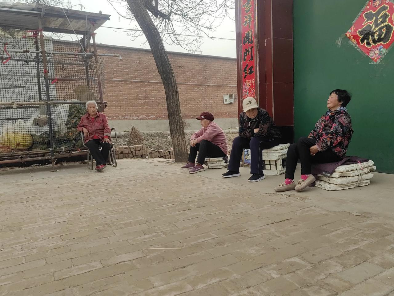 只要是不刮风下雨，附近的老人们都会到篇哥门口说话唠嗑，一坐就是大半天。
在这里你