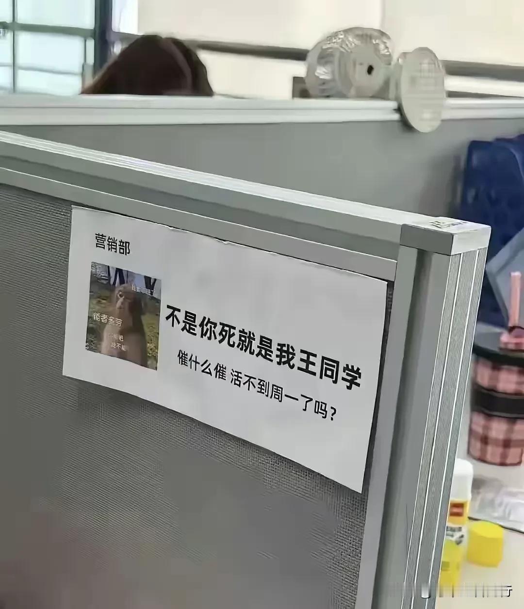 “办公室甩锅新高度？！”