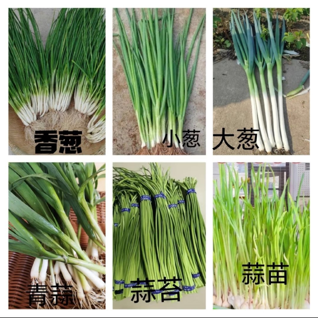 才发现我是真的分不清楚这些东西啊 