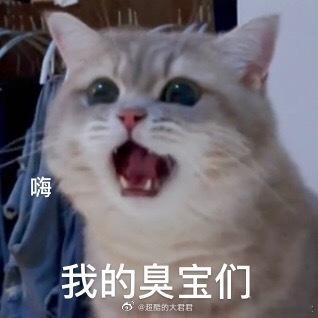 咪以前是小小咪的时候，才开始咧咧，很吃力，平时感觉根本没时间咧咧，只能周末急赤白
