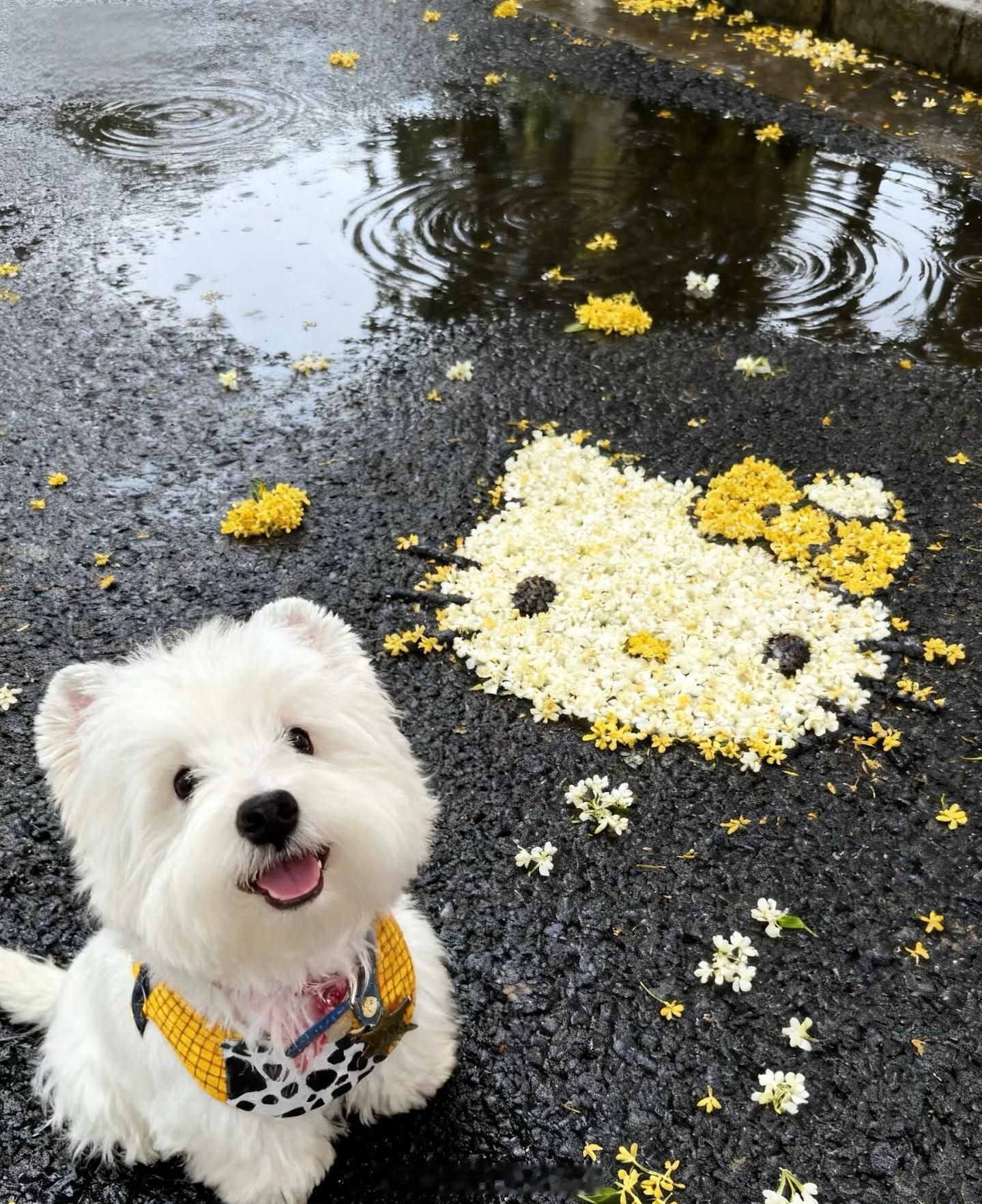 🏰🧚‍♂️𝗛𝗮𝘃𝗲 𝗮 𝗺𝗮𝗴𝗶𝗰𝗮𝗹 𝗱𝗮𝘆