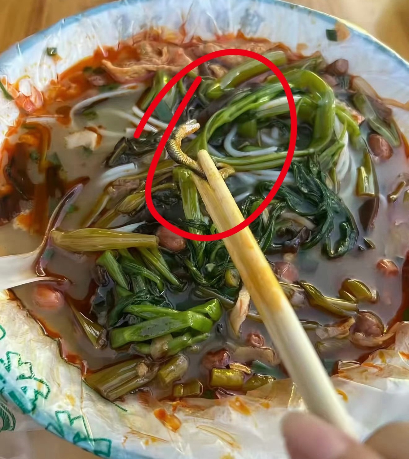 女子螺蛳粉摊吃出蛇螺蛳粉里吃出菜虫、蜗牛、石子我都能理解，但这个小蛇是怎么到碗里