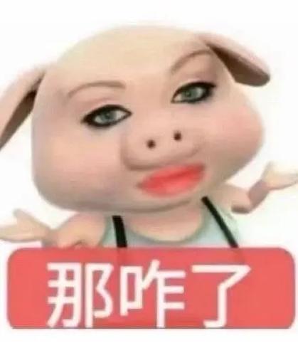 韩红道歉其实我觉得走个面没啥问题啊，不就是客气客气，大家也都当听听就算，想去看的