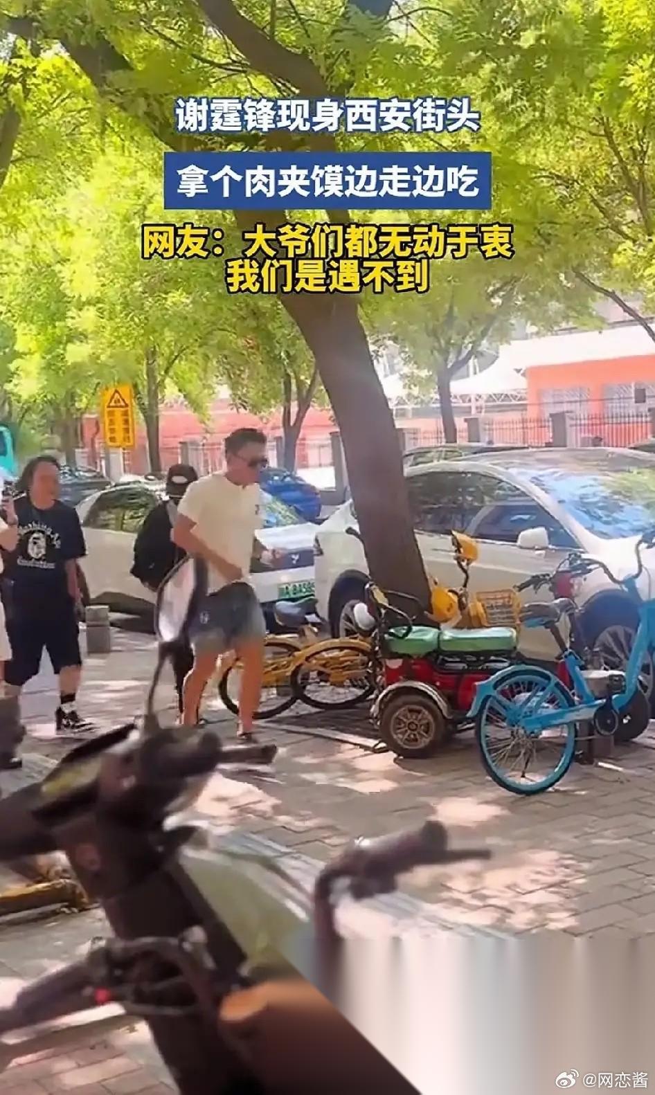 大家有没有发现 自从刘浩存演的“主角”火了之后 这座城市好多明星出现，还非常的接