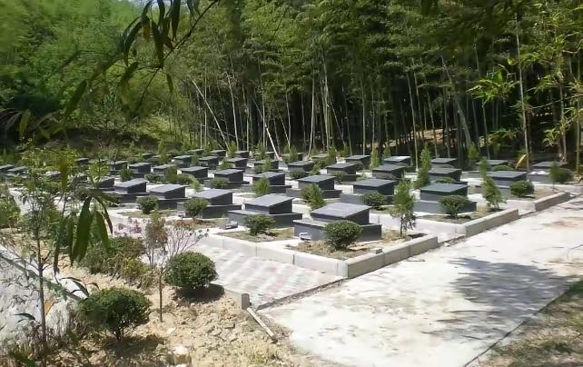 定了！3月30日全国执行新殡葬制度！死不起、葬不起的时代，终于要结束了！
​一口